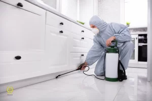 شركة رش مبيدات بالمجمعة,شركة مكافحة حشرات بالمجمعة