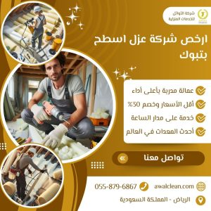 ارخص شركة عزل اسطح بتبوك