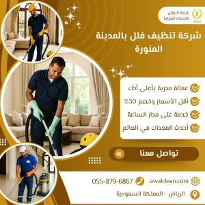 شركة تنظيف فلل بالمدينة المنورة