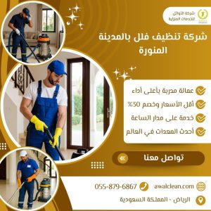 شركة تنظيف فلل بالمدينة المنورة