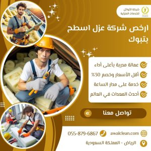ارخص شركة عزل اسطح بتبوك